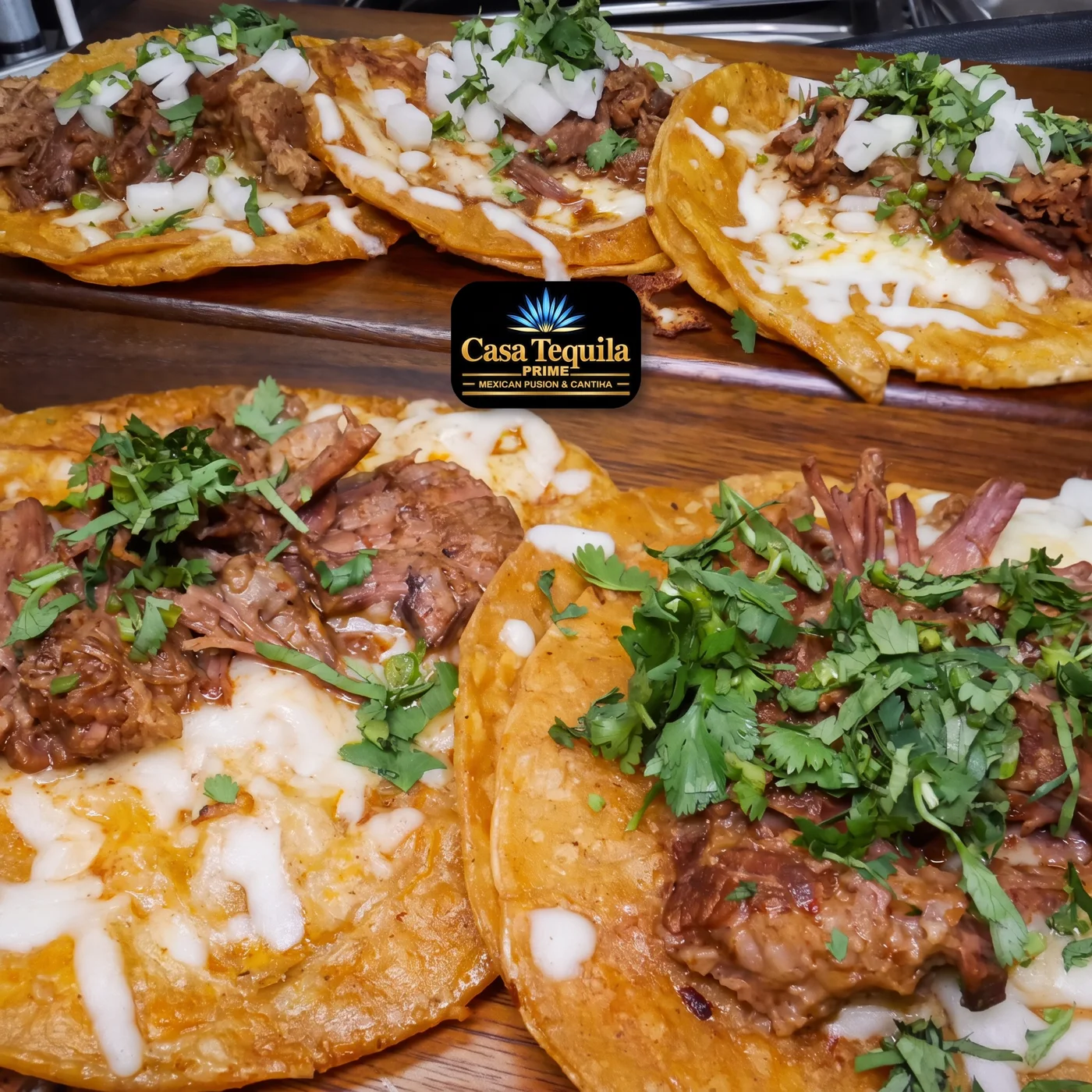 Quesabirria — crispy corn tortillas with melted cheese and slow-cooked beef